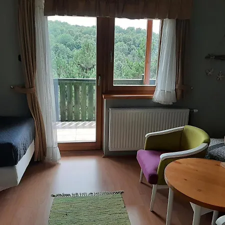 Bed & Breakfast Panzio