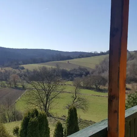 Bed & Breakfast Panzio Borzavar